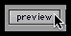preview button