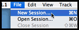 file - new session
