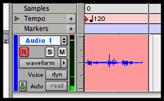 recording waveform in edit window